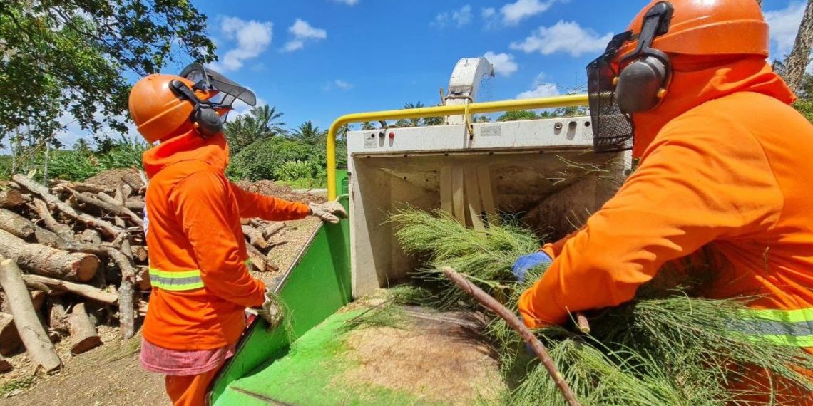 Parnamirim: Horto Municipal inicia reaproveitamento de resíduos provenientes das podas