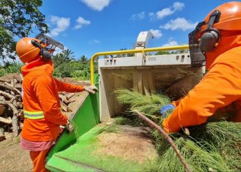 Parnamirim: Horto Municipal inicia reaproveitamento de resíduos provenientes das podas