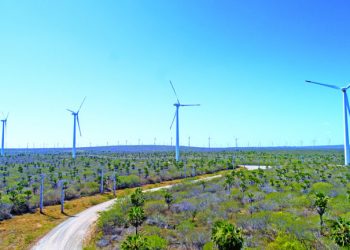 Economia da Caern no Mercado livre de Energia chega a R$ 22 milhões