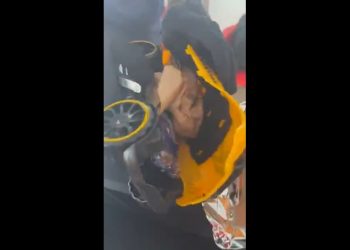 Receita Federal apreende droga encontrada dentro de carrinho de brinquedo em transportadora de Natal