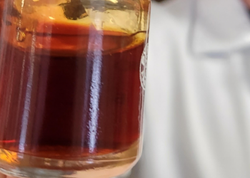 Nova tecnologia inovadora da UFRN promete ação contra infecção