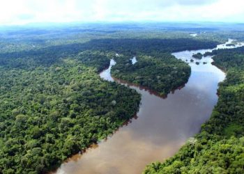 Ailton Krenak fala com precisão e eloquência sobre as “Ideias para adiar o fim do mundo”