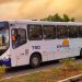 Linha de ônibus Pirangi/Parnamirim foi retomada nesta segunda (02)