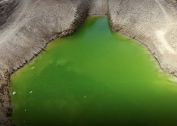 Futuro do Lago Azul é discutido em coletiva de imprensa