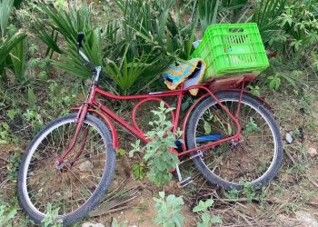 Idoso vendedor de queijos é morto a facadas durante assalto em Mossoró