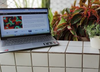 Pedra, papel e tesoura – Projeto da UFRN usa jogo como base para compreender dinâmicas populacionais na biodiversidade