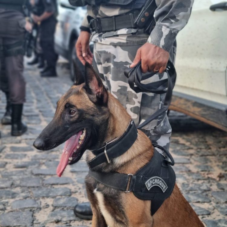 Ação conjunta do MPRN e Polícia Militar combate tráfico de drogas em Ponta Negra