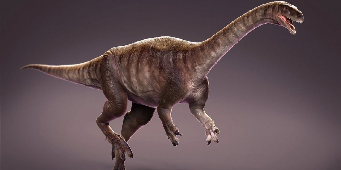 Descoberta no Triássico