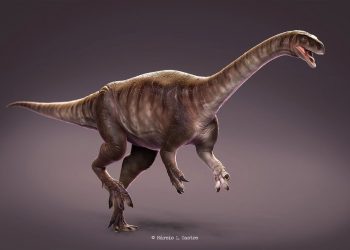 Descoberta no Triássico