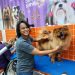 Empreendedora apaixonada por cães salta obstáculos para ser orgulho da mãe