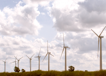 Governo do RN participa de viagem à China com delegação federal