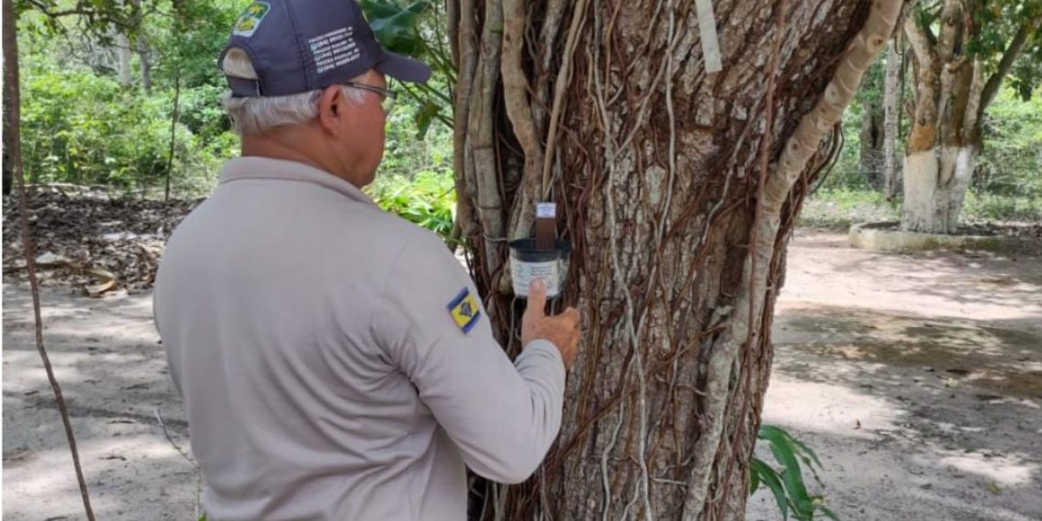 Agentes de Combate às Endemias de Parnamirim são destaque nacional