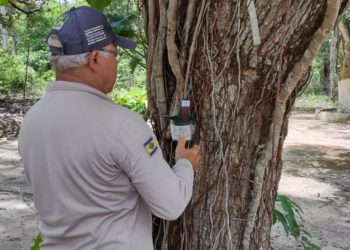Agentes de Combate às Endemias de Parnamirim são destaque nacional