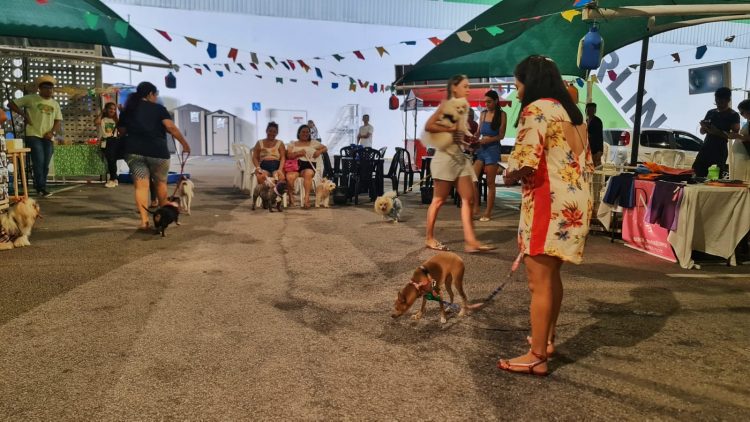 Zoonoses de Parnamirim marca presença na 5ª edição do Social Pet