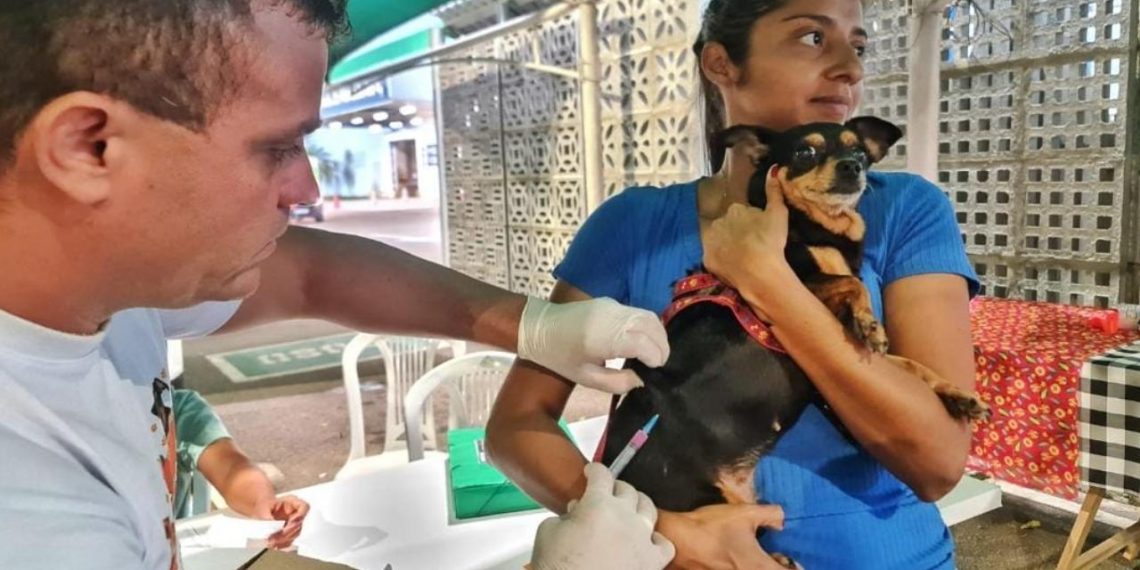 Zoonoses de Parnamirim marca presença na 5ª edição do Social Pet