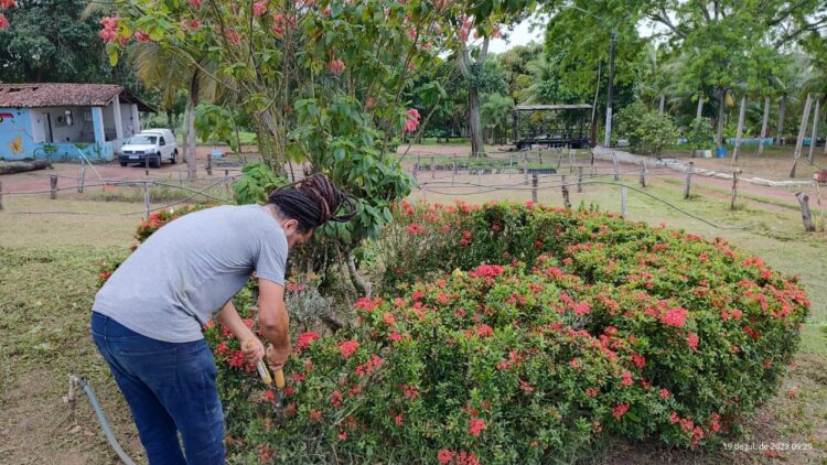 Horto Municipal: Prefeitura de Parnamirim revitaliza espaço e abre para visitação