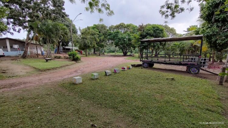 Horto Municipal: Prefeitura de Parnamirim revitaliza espaço e abre para visitação
