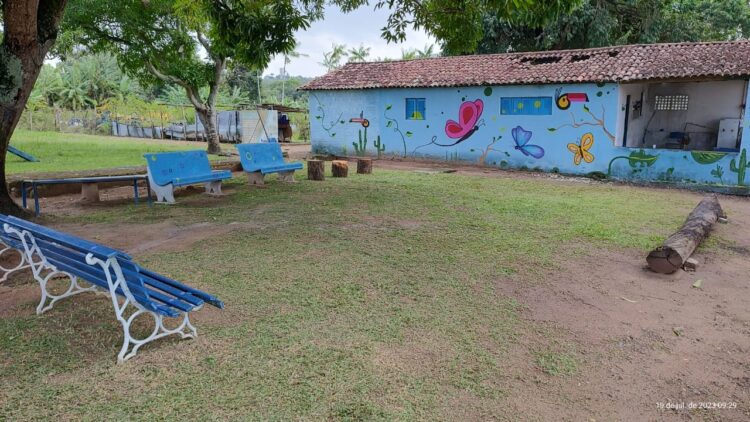 Horto Municipal: Prefeitura de Parnamirim revitaliza espaço e abre para visitação