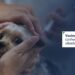 Parnamirim: Vacinação antirrábica tem continuidade neste sábado (15)