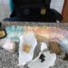 Polícia Civil prende casal por tráfico de drogas em Patu