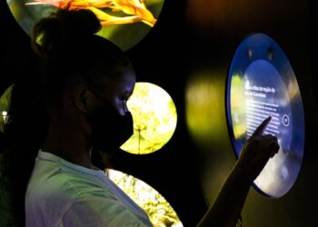 Apenas uma em quatro pessoas com deficiência conclui o ensino básico