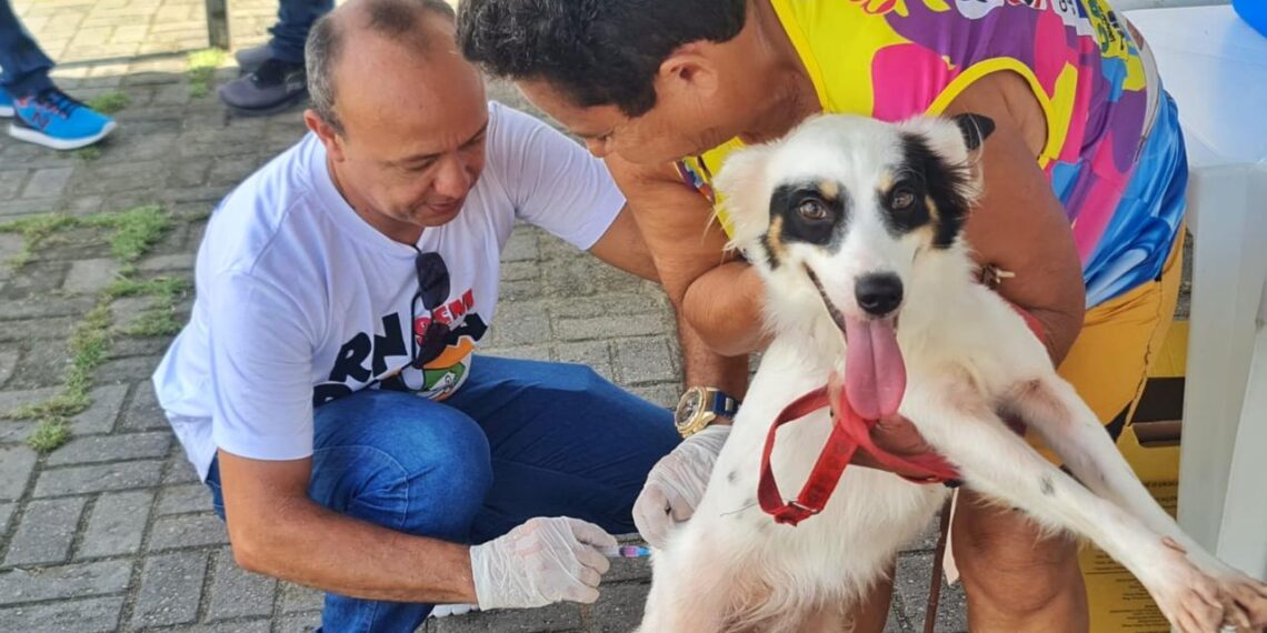 Mais de 900 animais foram vacinados contra a raiva no último sábado, 15, em Parnamirim