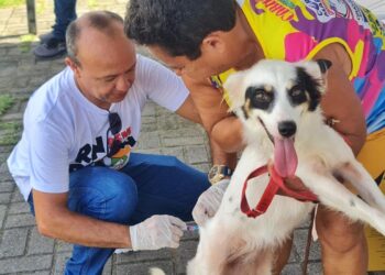 Mais de 900 animais foram vacinados contra a raiva no último sábado, 15, em Parnamirim