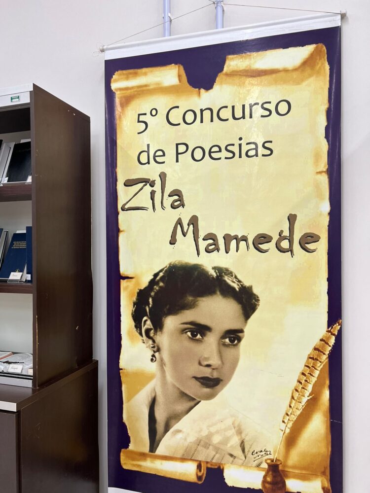 Biblioteca Municipal de Parnamirim recebe exposição em homenagem aos 95 anos de Zila Mamede