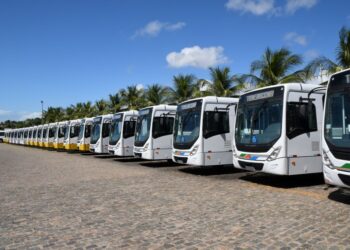 Prefeito Álvaro Dias anuncia retorno de cinco linhas de transporte a partir da segunda-feira, 07