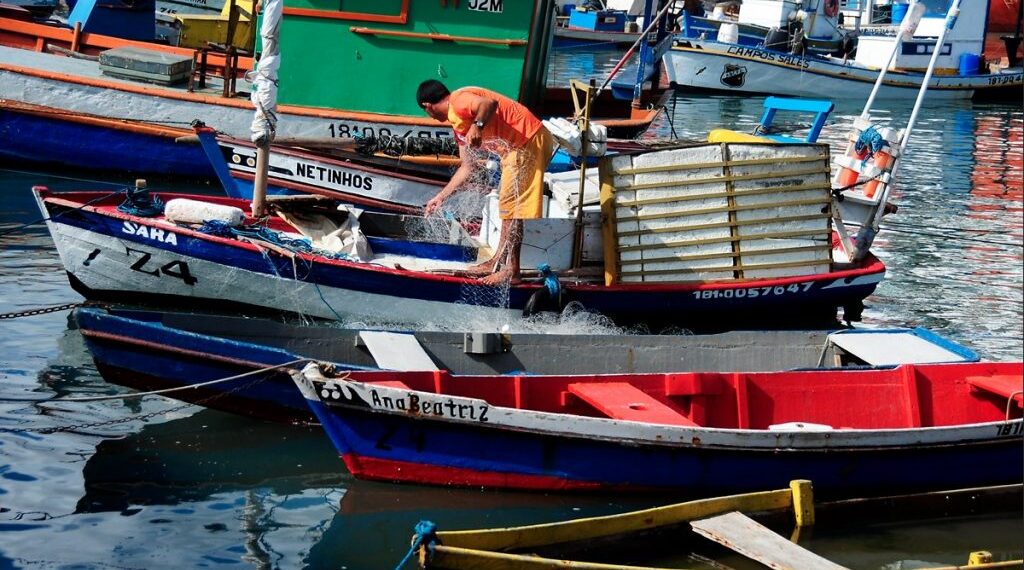Pesquisadores da UFRN criam aplicativo de monitoramento de pesca