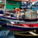 Pesquisadores da UFRN criam aplicativo de monitoramento de pesca