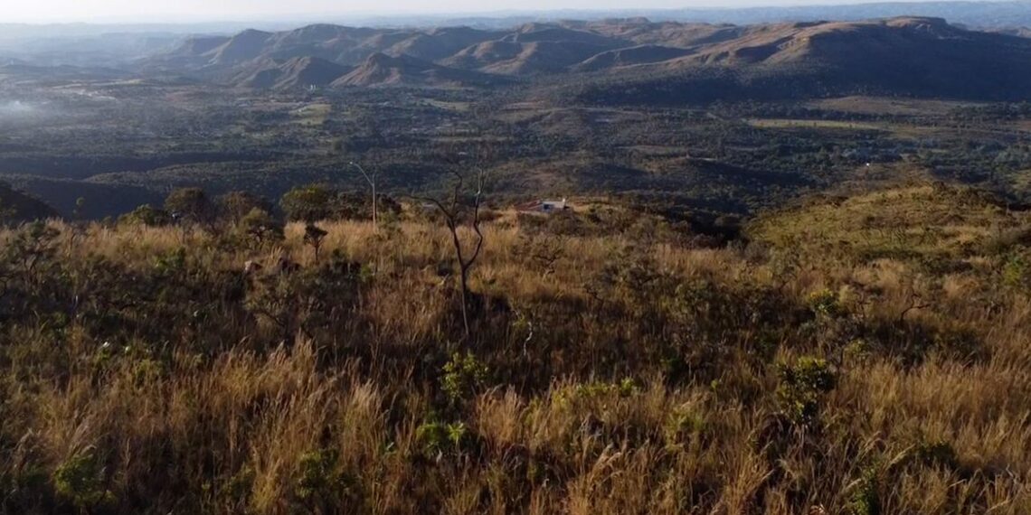 Olhar voltado para a Amazônia ameaça sobrevivência do Cerrado