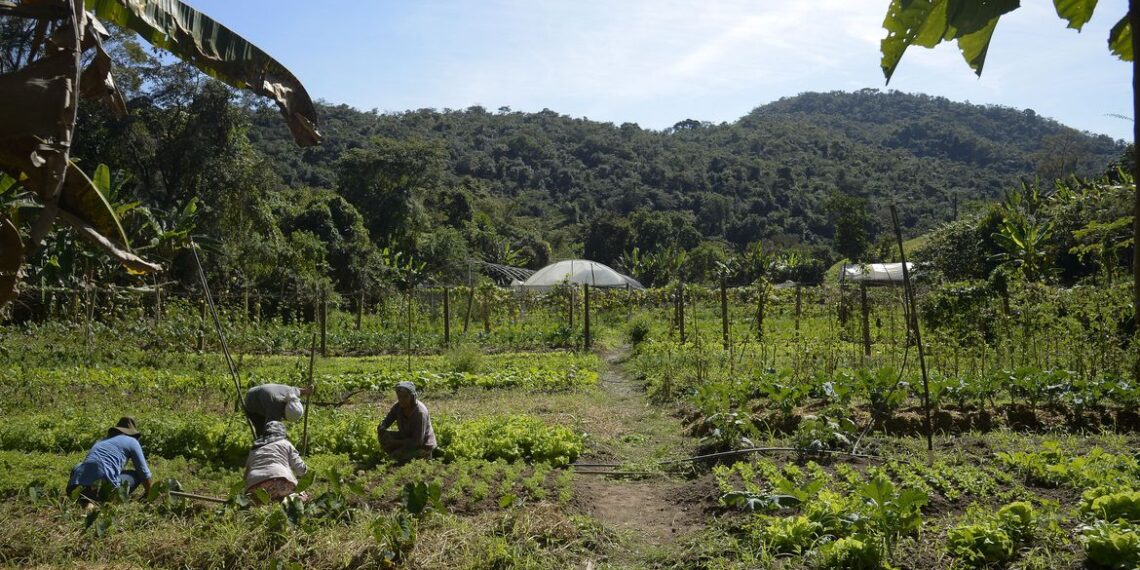 Lei institui política de empreendedorismo para jovens no campo