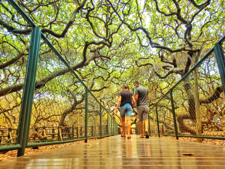 Parnamirim: um paraíso a céu aberto