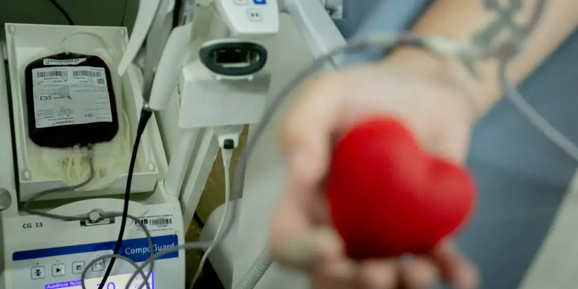 App que incentiva doação de sangue já pode ser baixado