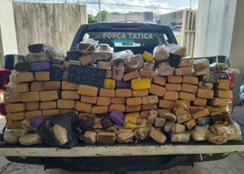 Polícia apreende 70 kg de maconha em Natal