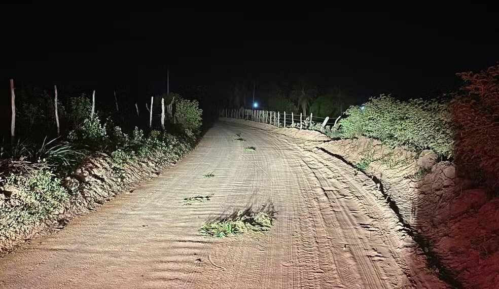 Pai e filho morrem após baterem de frente um com o outro em estrada no RN, diz PM