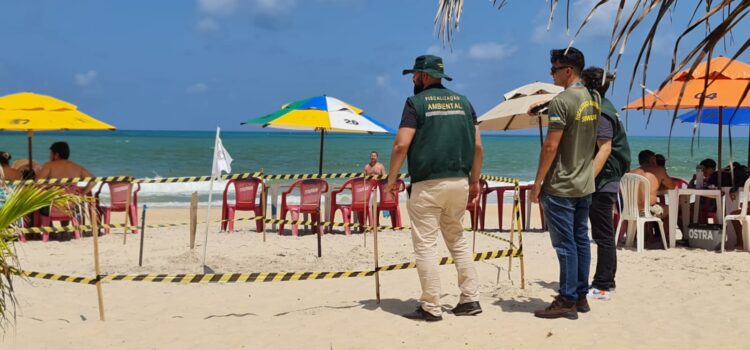 Litoral sul registra aumento no número de ninhos de tartaruga