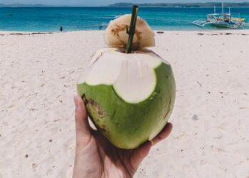Hidratação no verão: conheça os benefícios da água de coco para o corpo