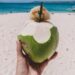 Hidratação no verão: conheça os benefícios da água de coco para o corpo