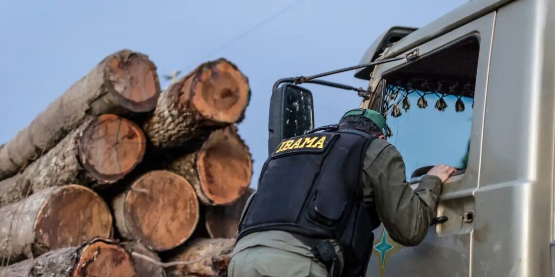 Servidores do Ibama prometem suspender fiscalização ambiental