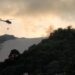 Incêndio no Morro do Careca: Bombeiros atuam há pelo menos 10 horas no local