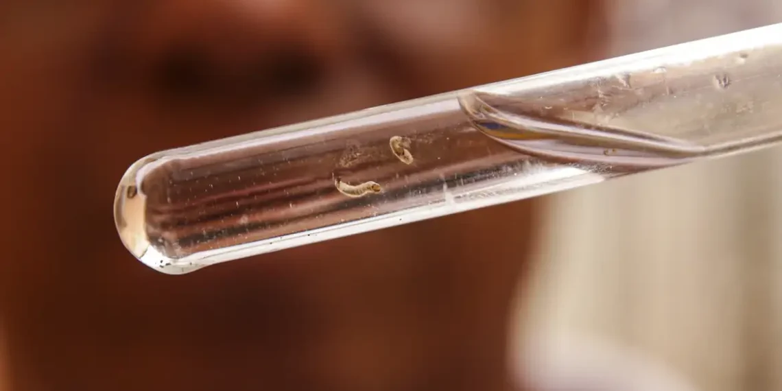 Brasil tem mais de um milhão de casos de dengue este ano