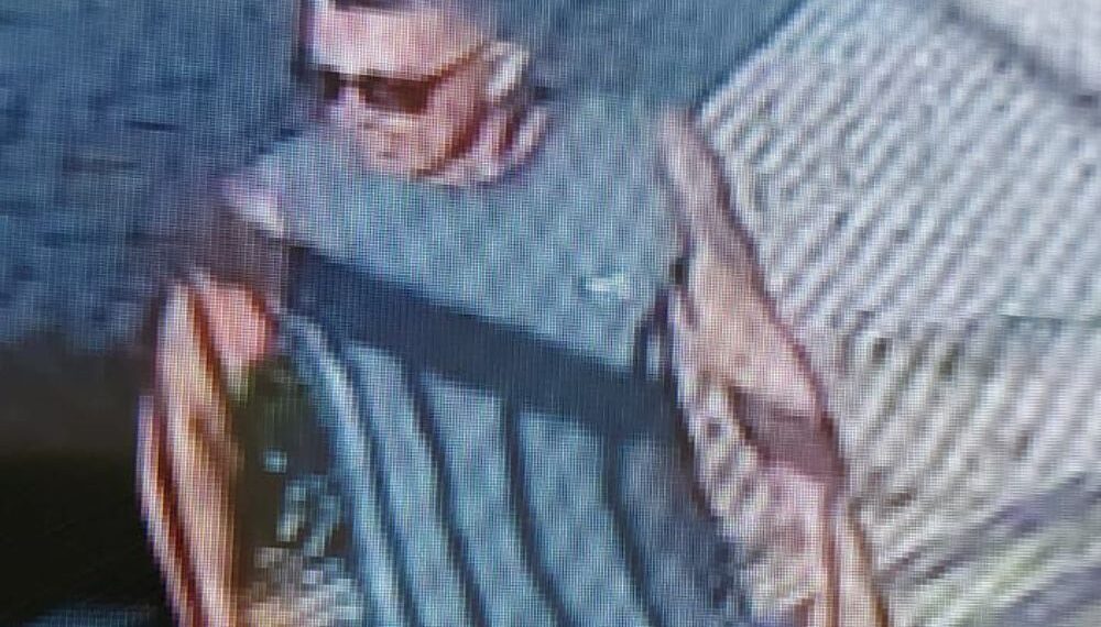 Polícia Civil identifica e intima homem que esfaqueou cachorro em Currais Novos