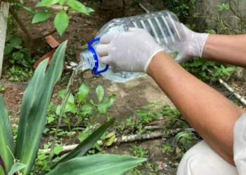 9 em cada 10 casas inspecionadas em Natal têm focos de mosquito da dengue, diz Secretaria de Saúde