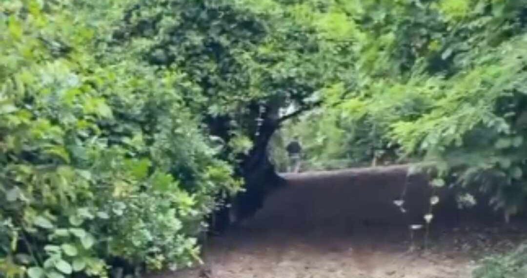 Homem é morto a tiros na região oeste de Natal