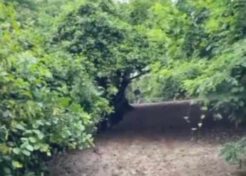 Homem é morto a tiros na região oeste de Natal