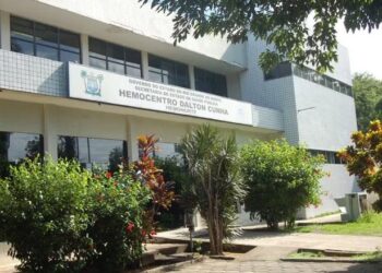 Com estoque crítico, Hemonorte convoca doadores de sangue para reposição; veja quem pode