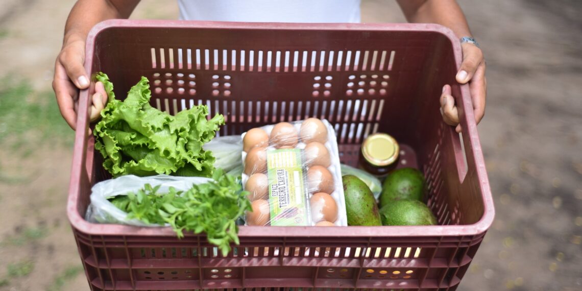 RN tem a melhor taxa de segurança alimentar do Nordeste