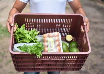 RN tem a melhor taxa de segurança alimentar do Nordeste